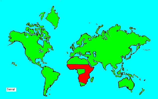 Click to enlarge