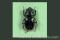 Click to jump to