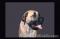 Click to jump to