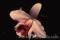 Click to jump to
