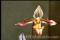 Click to jump to