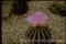 Click to jump to