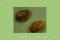Click to jump to