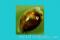 Click to jump to