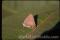 Click to jump to