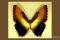 Click to jump to