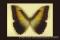 Click to jump to