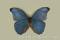 Click to jump to