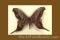 Click to jump to