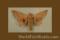 Click to jump to