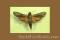 Click to jump to