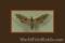 Click to jump to