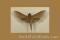 Click to jump to