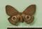 Click to jump to