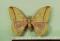 Click to jump to