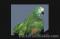 Click to jump to