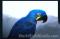 Click to jump to