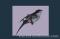 Click to jump to