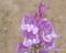 Click to jump to