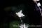 Click to jump to