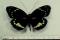 Click to jump to