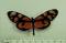 Click to jump to