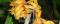 Click to jump to