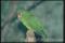 Click to jump to