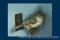 Click to jump to