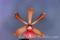 Click to jump to