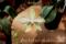 Click to jump to