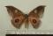 Click to jump to