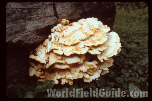 <br>(Location of Picture: Illinois, USA)<br>(Location of Picture: Illinois, USA)<br>(Location of Picture: Illinois, USA)<br>(Location of Picture: Round Lake, Il, USA)