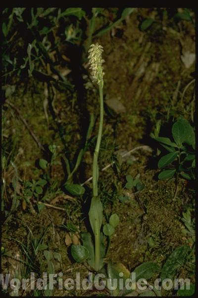 <br>(Location of Picture: France, Europe)<br>(Location of Picture: France, Europe)