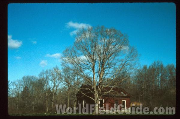 April View<br>(Location of Picture: Southern Missouri, USA)