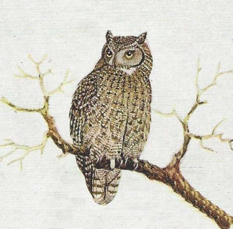 On Branch - Front View<br>(Origin of the Specimen: Color Painting)