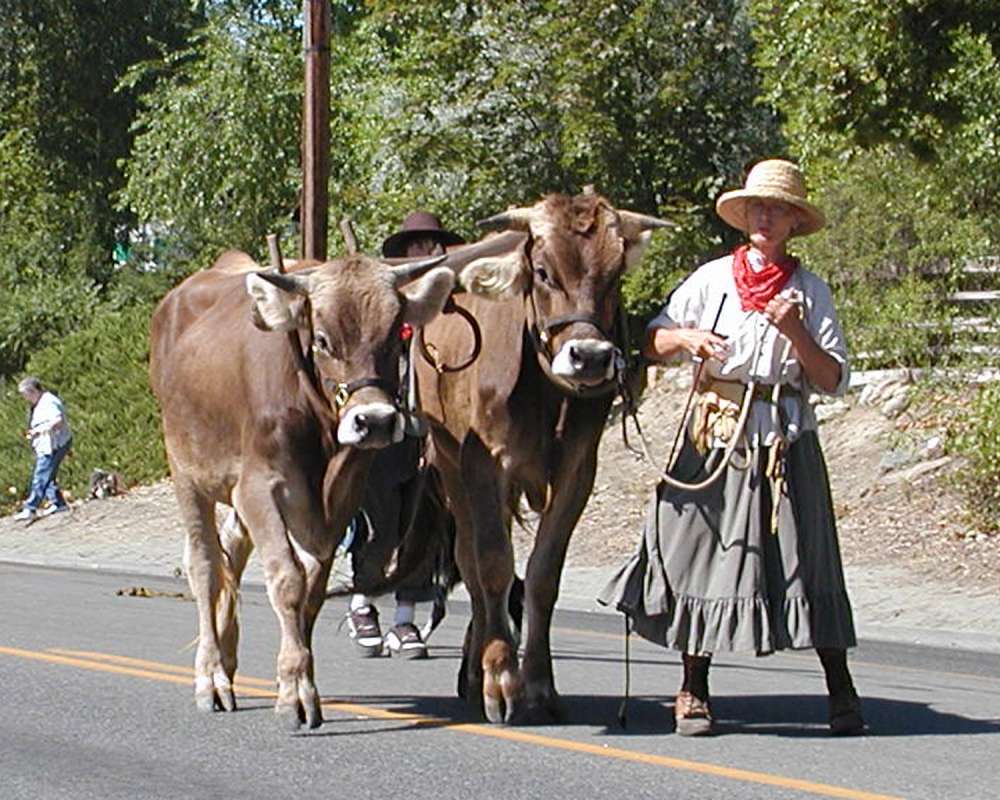 Pair - in  Parade<br>(Location of Picture: Okanogan, Washington, USA, 2005)