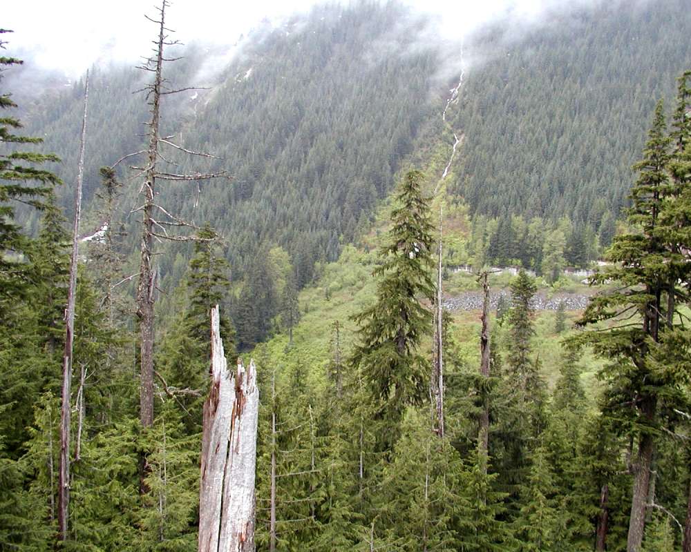 Waterfall - View #2<br>(Location of Picture: Stevens Pass, Washington, USA, 06)