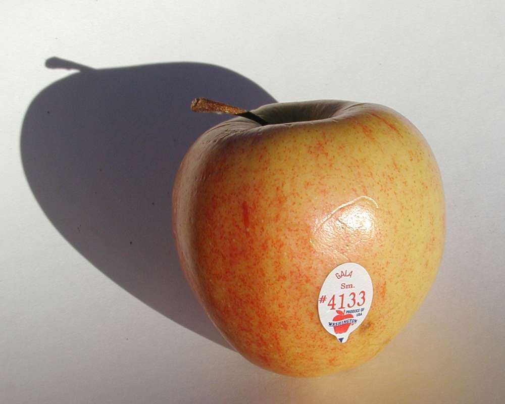 Fruit<br>(Location of Picture: Orchard, Okanogan, Wa, USA, 2006)