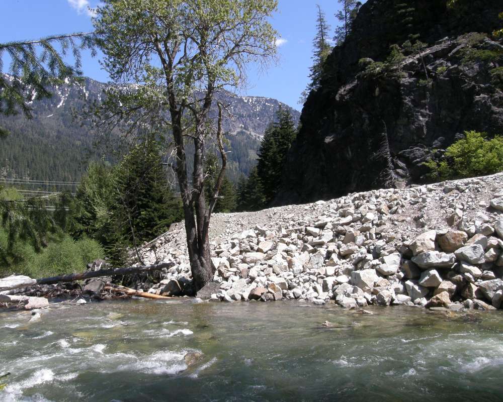 Habitat View<br>(Location of Picture: Stevens Pass, Wa, USA, 2009)