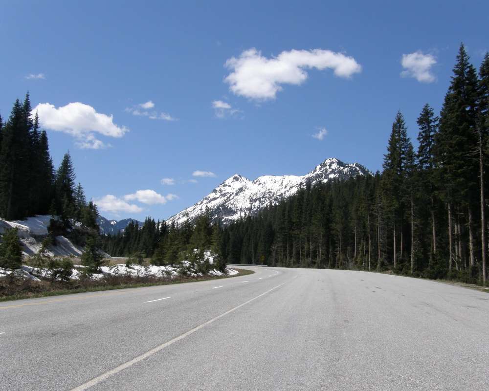 Roadside View<br>(Location of Picture: Stevens Pass, Washington, USA, '09)