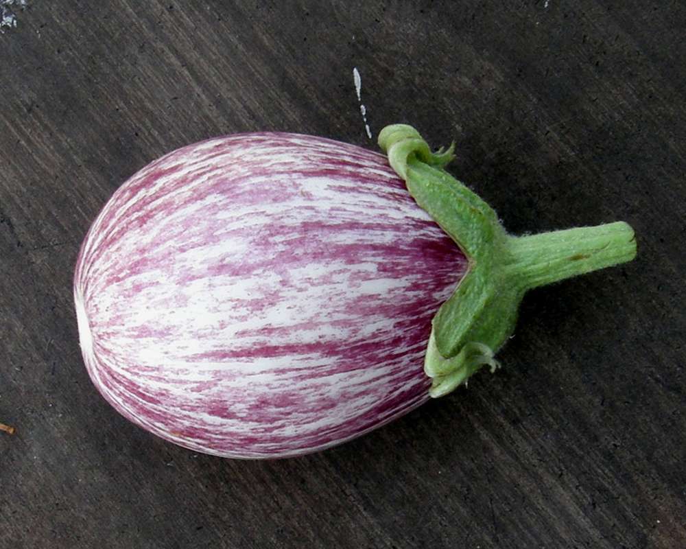 Striped Fruit<br>(Location of Picture: Okanogan, Washington, USA, 2009)