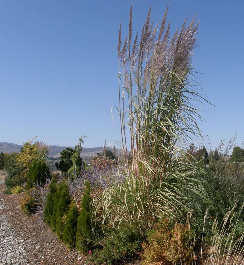 Garden View<br>(Location of Picture: Garden, Omak, Wa, USA, 2009)