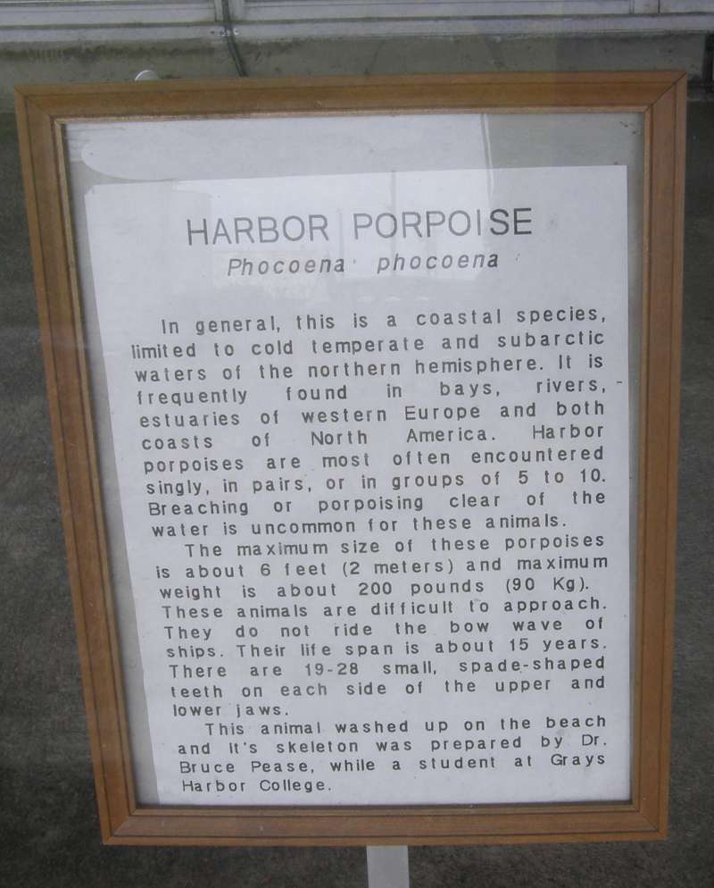 Museum Label<br>(Location of Picture: Westport, Washington, USA, 2010)