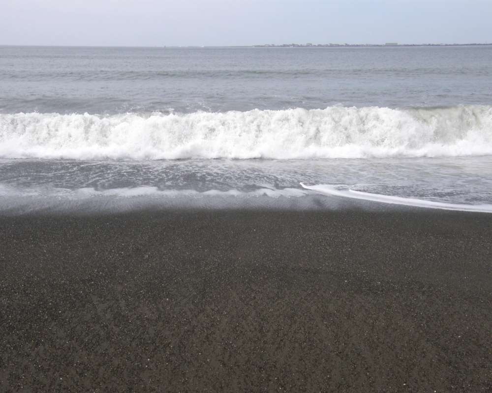 Habitat for razor clam<br>(Location of Picture: Westport, Washington, USA, Ap 2010)