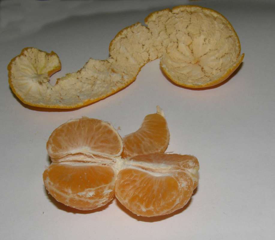 Fruit - Opened  Up<br>(Location of Picture: Commerical, 2011)