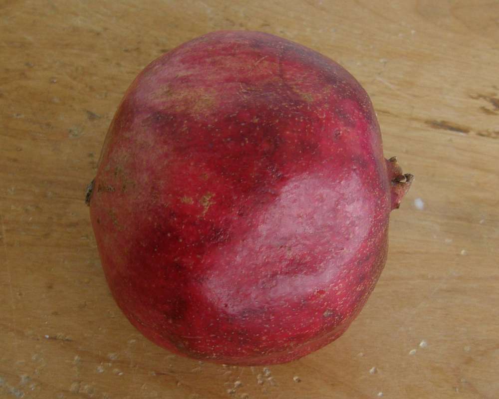 Side View of Fruit<br>(Location of Picture: Grocery Trade, Wa., USA, 2011)
