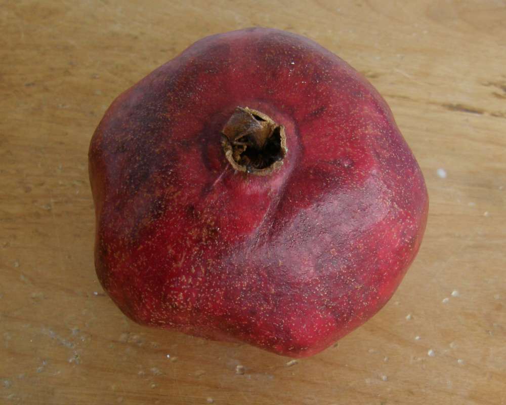 End View of Fruit<br>(Location of Picture: Grocery Trade, Wa., USA, 2011)