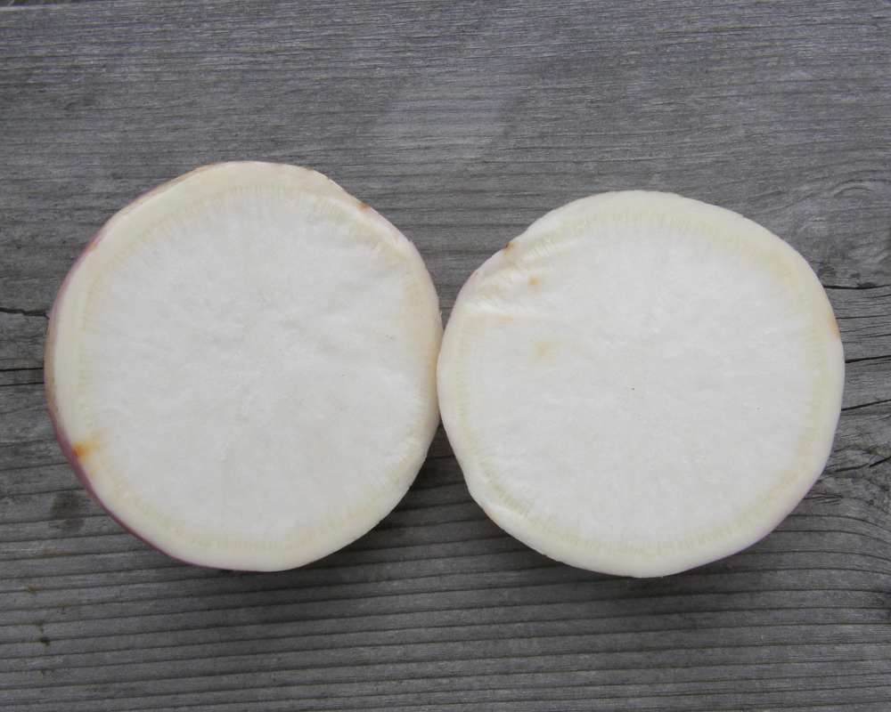 Tuber - Cutaway View<br>(Location of Picture: Okanogan, Wa., USA, 2011)