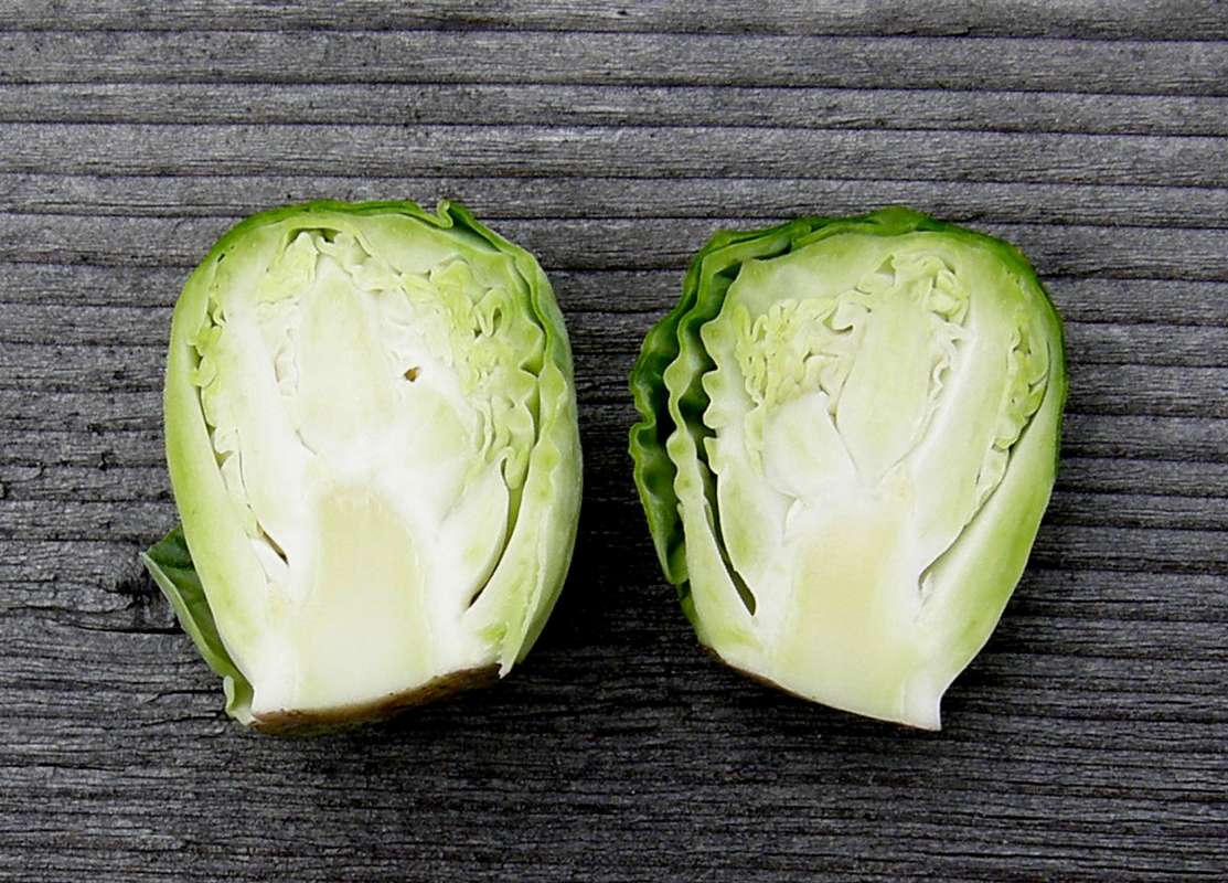 Cutaway<br>(Location of Picture: Okanogan, Wa., USA,2011)